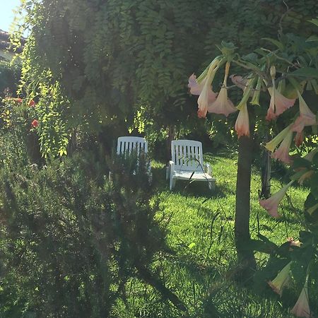 B&B A Casa Di Picci Santa Domenica  Buitenkant foto