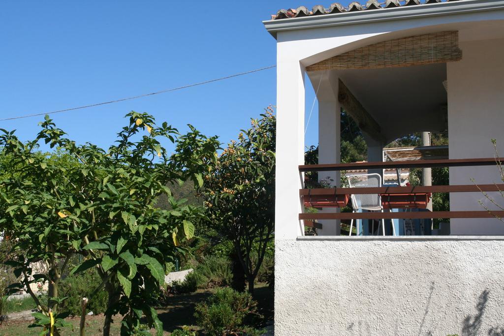 B&B A Casa Di Picci Santa Domenica  Buitenkant foto