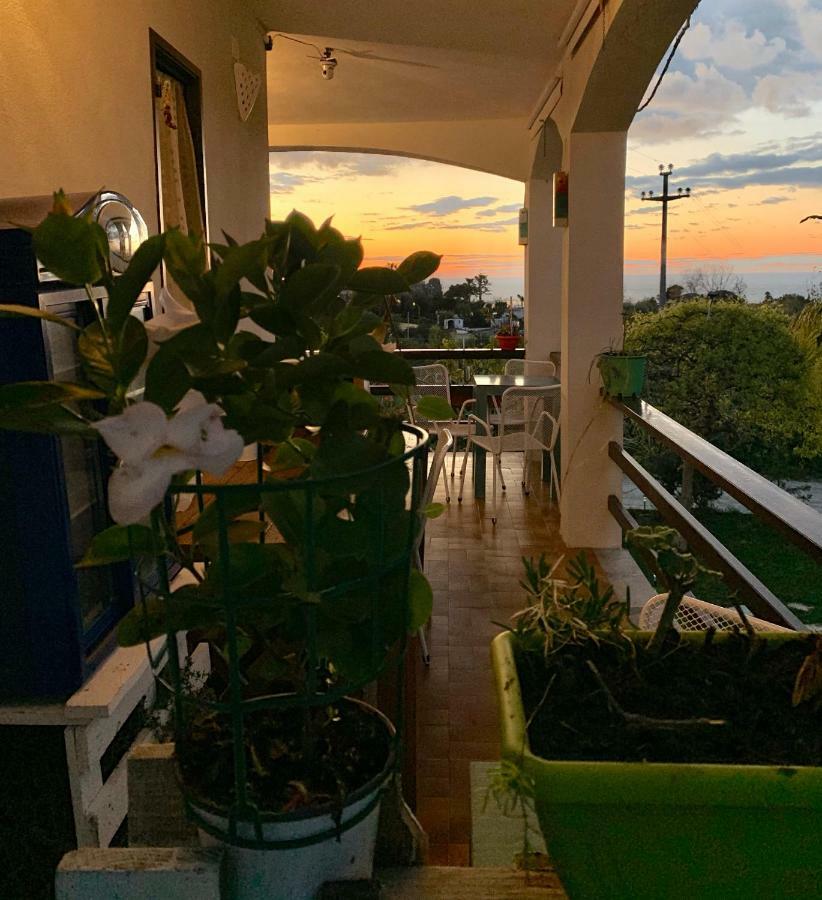 B&B A Casa Di Picci Santa Domenica  Buitenkant foto