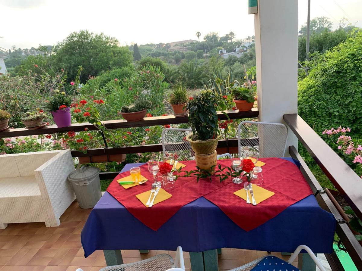B&B A Casa Di Picci Santa Domenica  Buitenkant foto