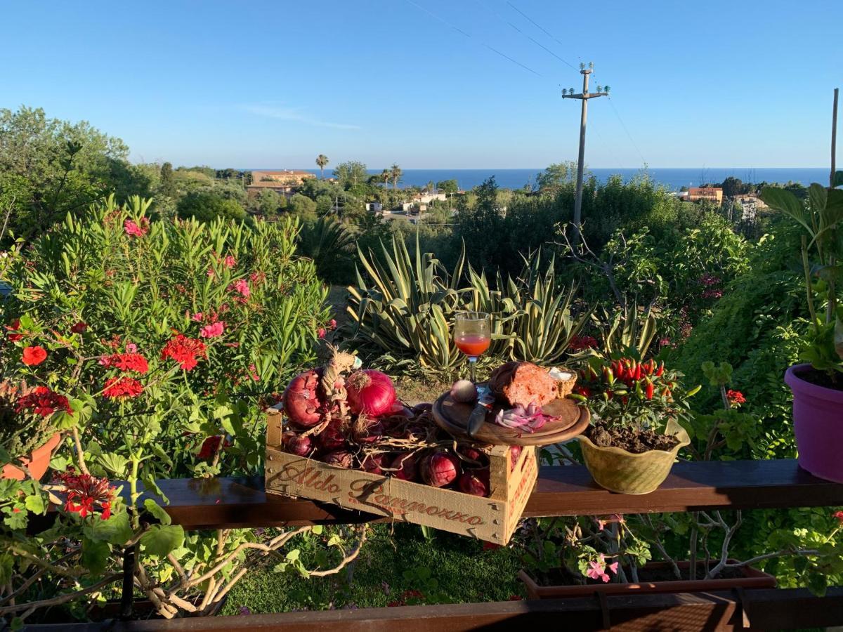 B&B A Casa Di Picci Santa Domenica  Buitenkant foto